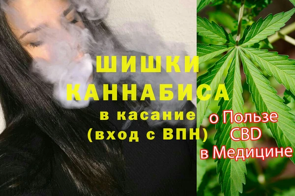 крисы Богородицк