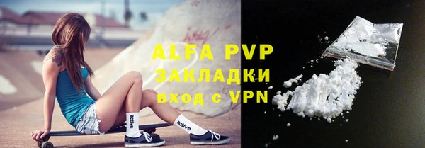 крисы Богородицк