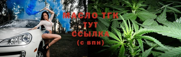 крисы Богородицк