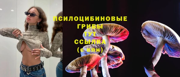 бошки Богородск