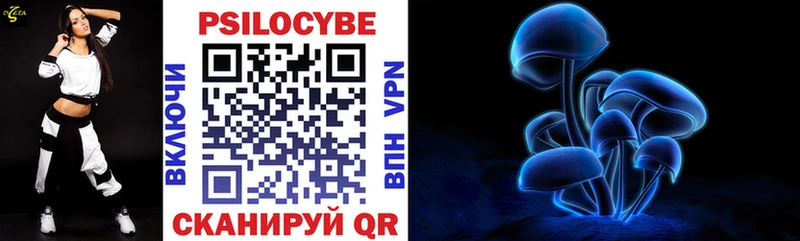 Купить  Красногорск  Псилоцибиновые грибы Psilocybine cubensis 